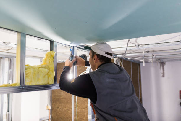 Best Specialized Insulation Services in Genoa, IL