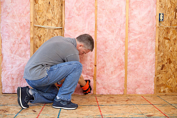 Best Blown-in Insulation in Genoa, IL